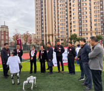 <strong>是但愿区校立脚现</strong>